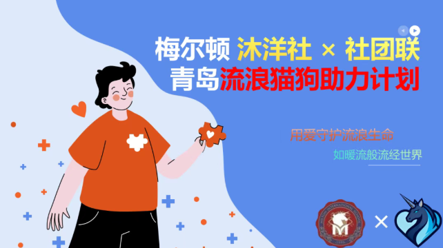 温暖冬日，爱心相伴｜梅尔顿学子为流浪动物送去一份冬季守护